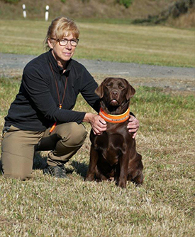 Heidelberg Hills Labradors