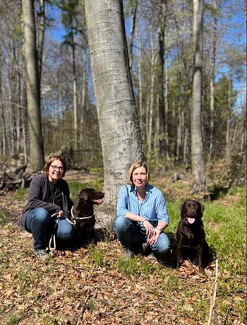 Heidelberg Hills Labradors