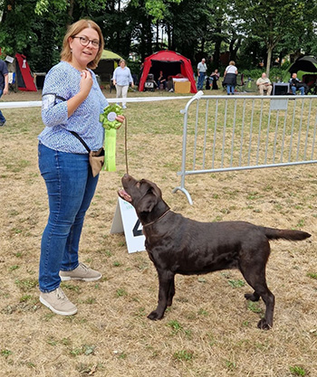 Heidelberg Hills Labradors