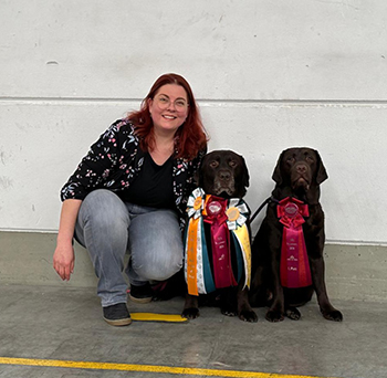 Heidelberg Hills Labradors
