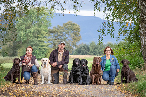 Heidelberg Hills Labradors